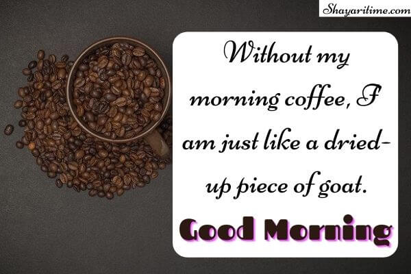 Good Morning