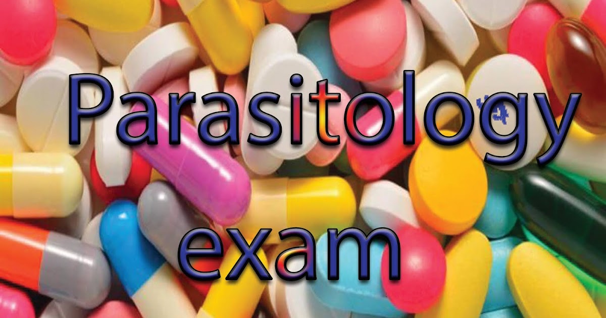 Parasitology 4 quiz Entomology