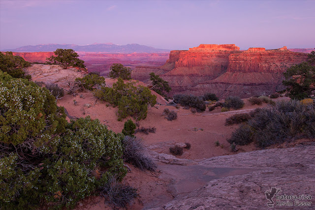 Canyonlands - Island in the Sky