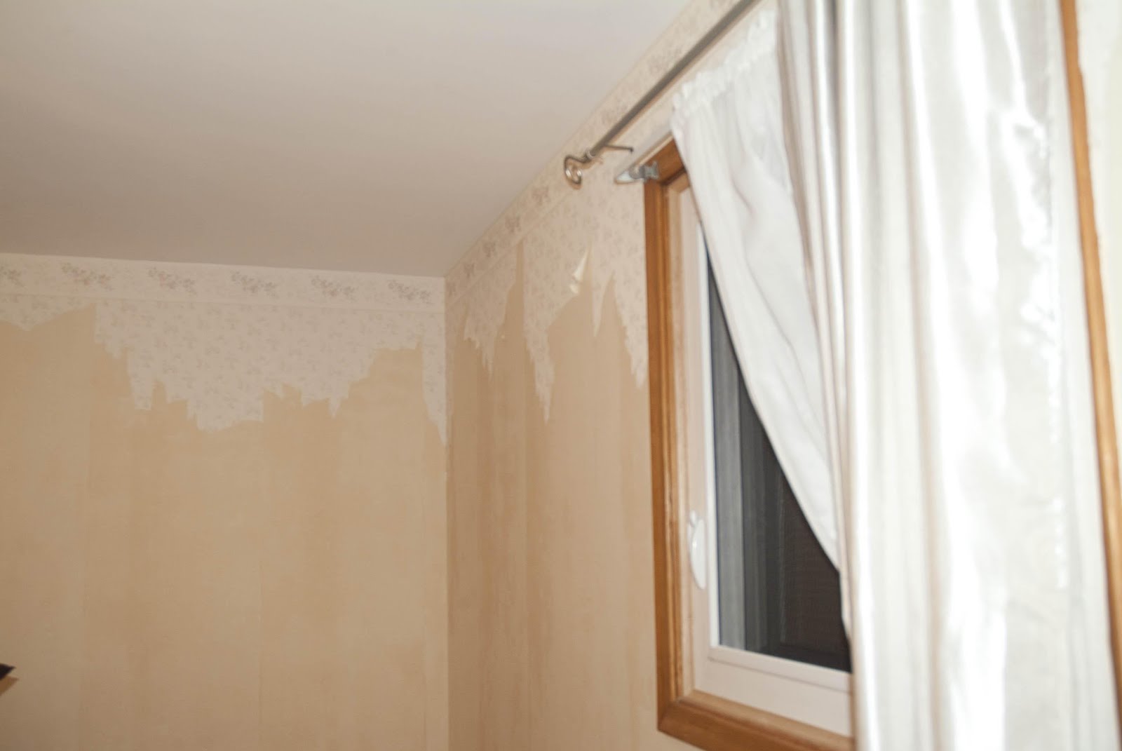 Free HD Wallpapers wallpaper glue Wallpaper