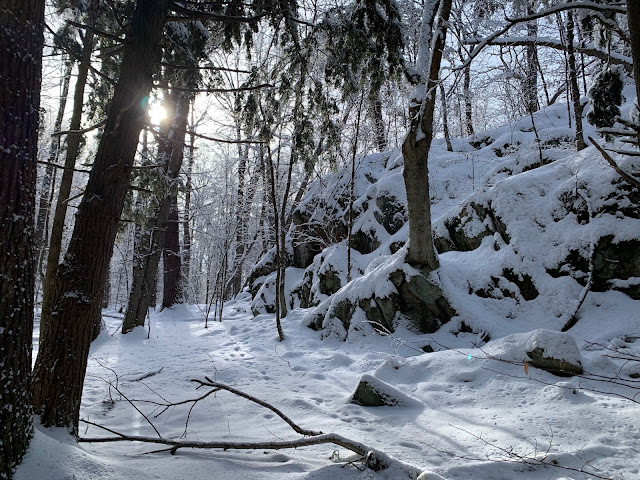Sentier de raquette dans le Parc de la Gatineau