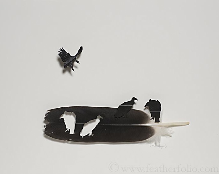 INTO THE VAGUE: Feather Art