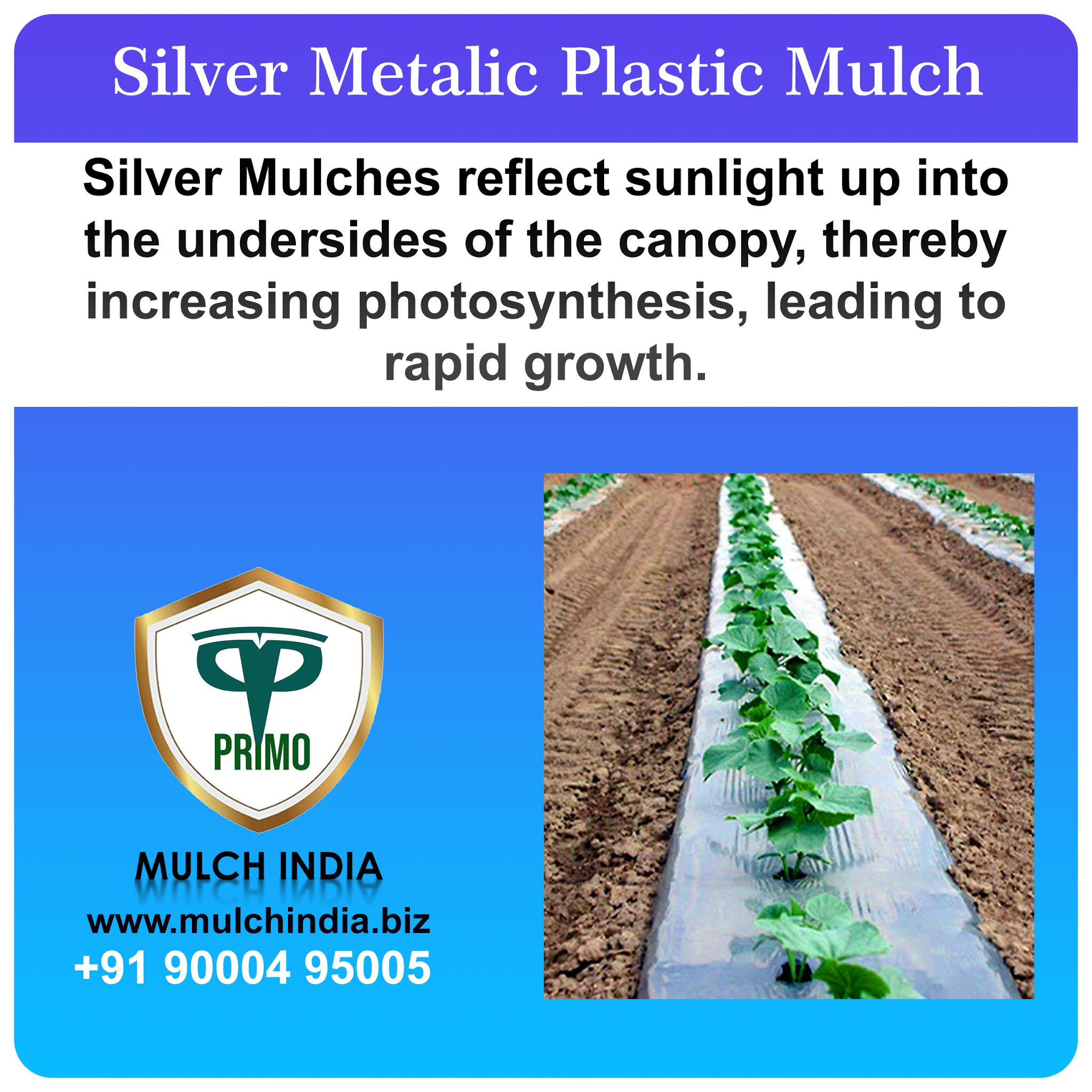 MulchIndia Silver Metalic Plastic Mulch Mulch India Call+𝟵𝟭