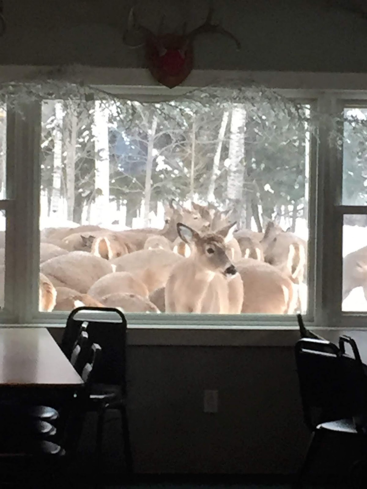 The Walking Stick The Happy Hour Bar and Restaurant in Hulbert Michigan