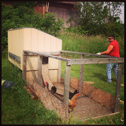 chick n coop crafts 5