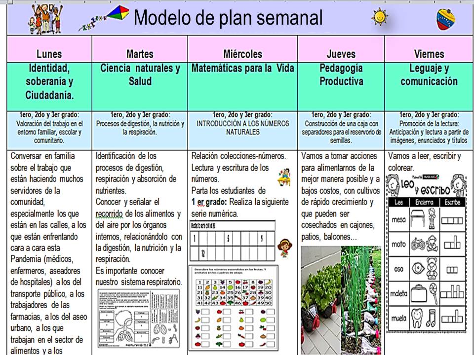 Maestra Asunción: Modelo de Plan semanal para Educación Primaria para el  trabajo a distancia por el covid 19
