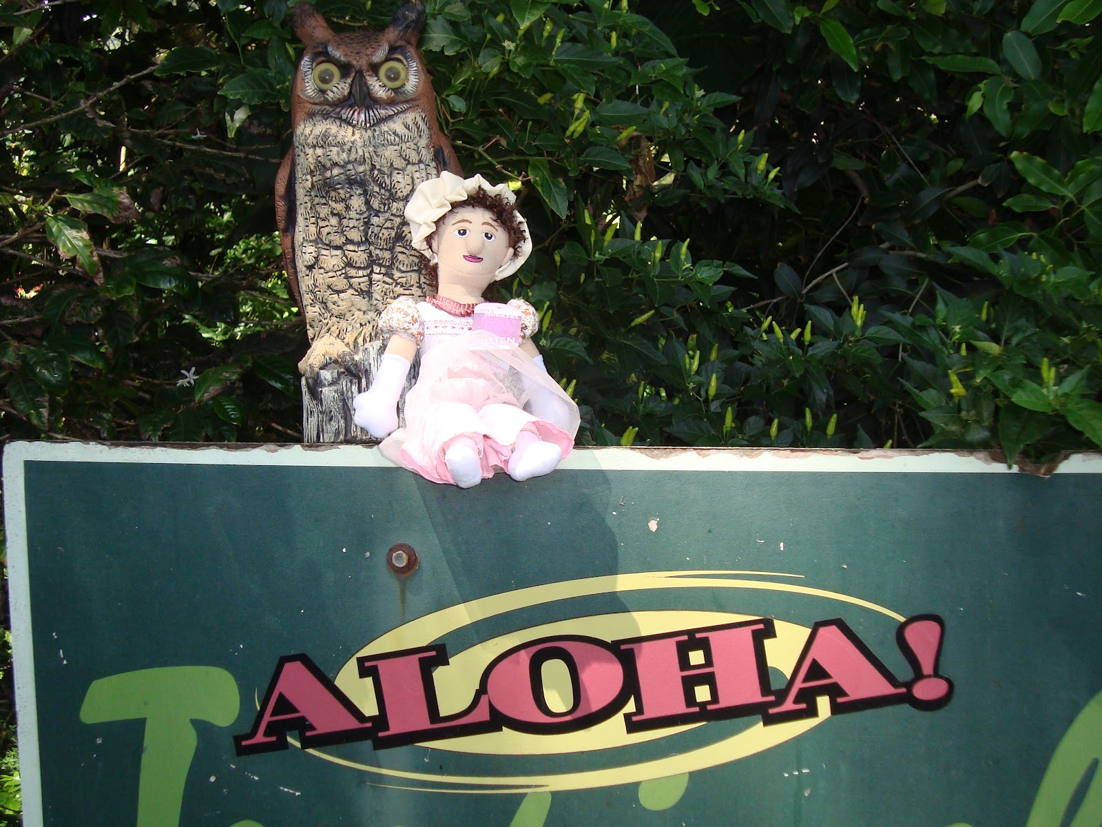 Aloha On My Mind Jane tours Windward Oahu, including the Mac Nut Farm