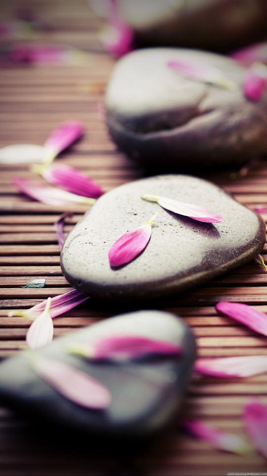 Zen Stones Pink Petals  Android Best Wallpaper