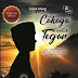 {Review Novel} CAHAYA UNTUK TEGAR – NURI THAKYA