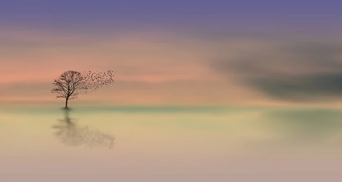  Películas que te ayudan a mejorar tu nivel de conciencia