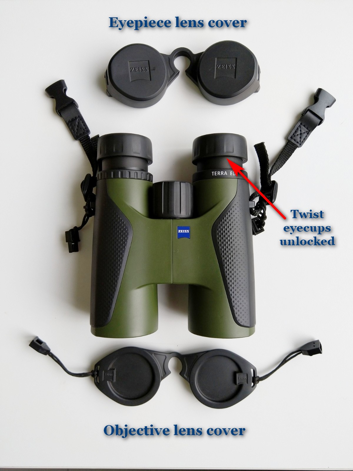 A Woodcrawler's Journal The Binocular Blog Part 1 The Anatomy of