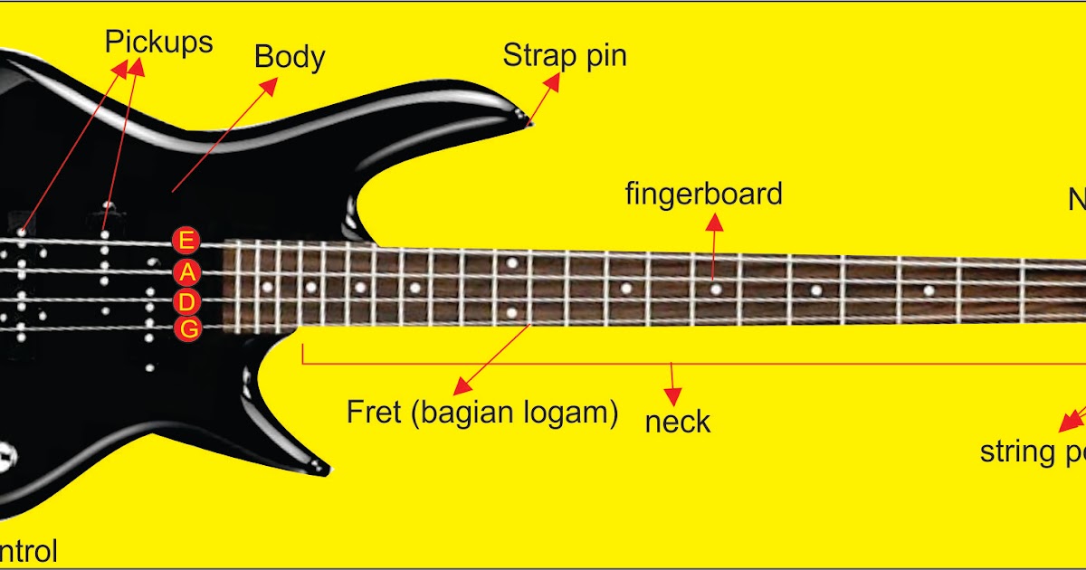 Mengenal Gitar Bas Elektrik SEPUTAR MUSIK