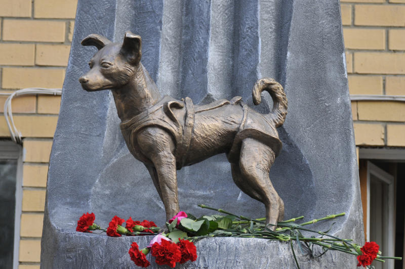 Moscú de la Revolución: El monumento a la perrita Laika en Moscú