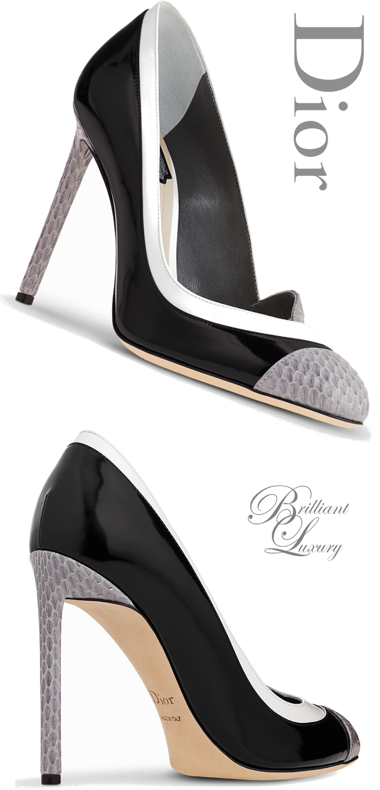 Brilliant Luxury: â¦Dior High Heels Fall 2015-16
