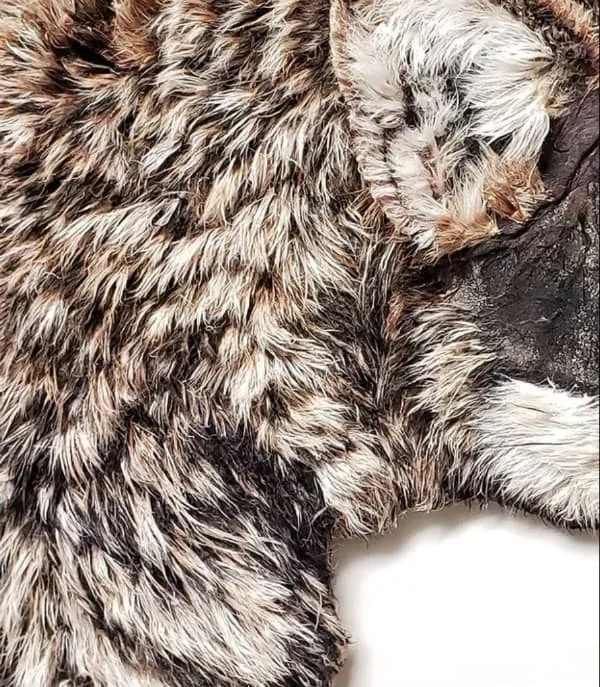 detail of wolf fur made of hanji paper fibers