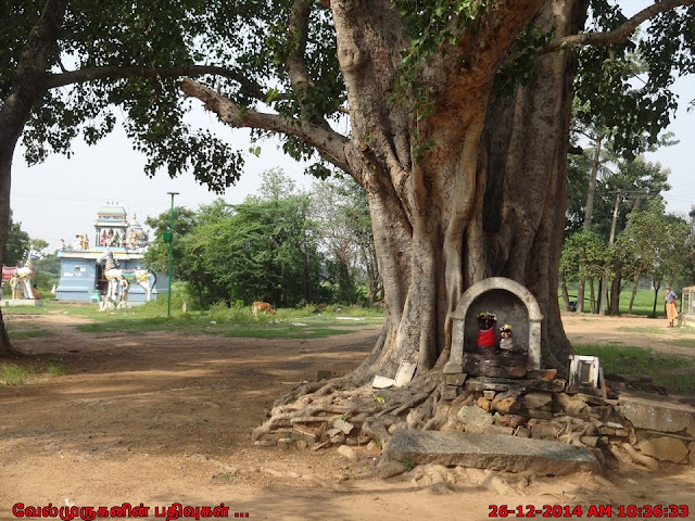 Theensuvai Neerotai Mettukuppam