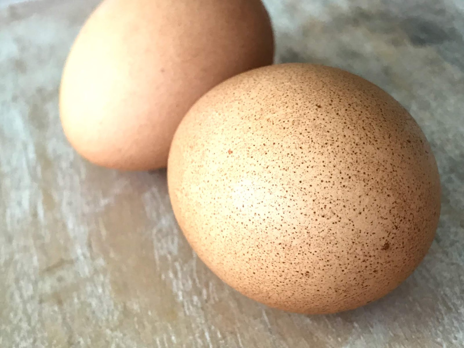 What are the Best Organic Eggs to Buy? Adina Mayo