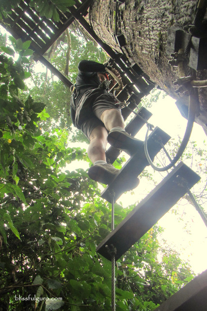 Treetop Explorer Jungle Hotel Pakse Laos Blog