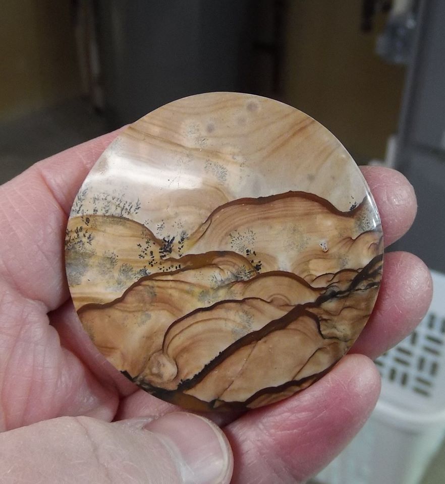 Biggs Jasper How to Guide