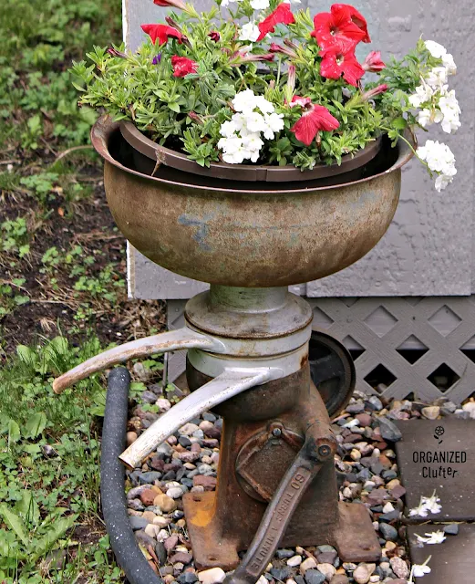 Junk Garden Cream Separator Flower Pot Holder