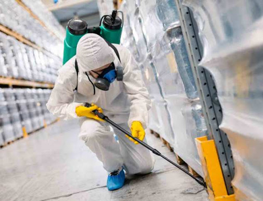 Why Is Pest Control Necessary?