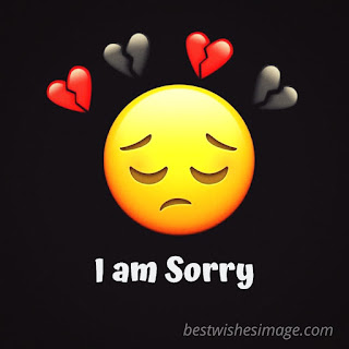 i am sorry images for best friend