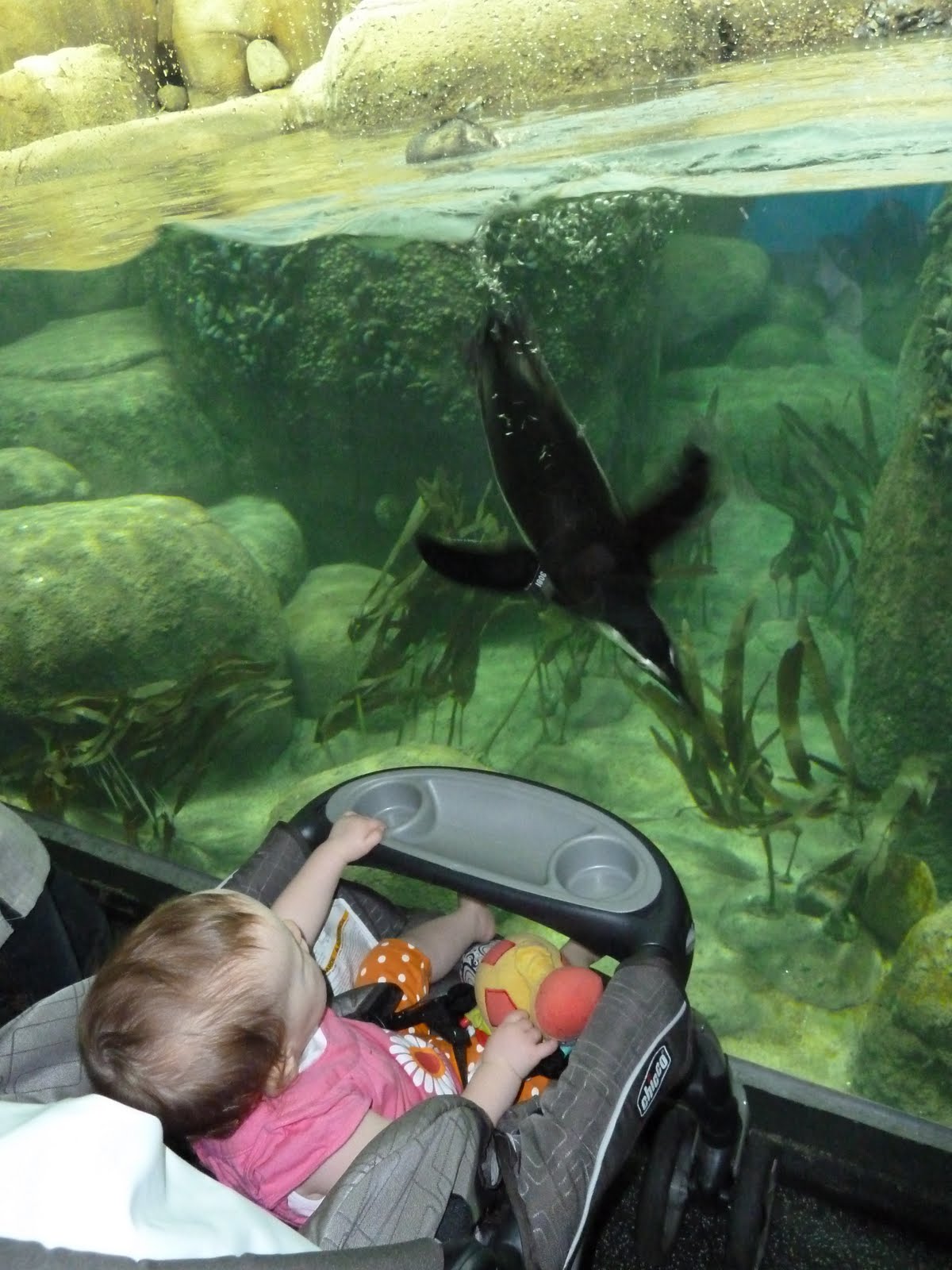 richie-family-mn-zoo