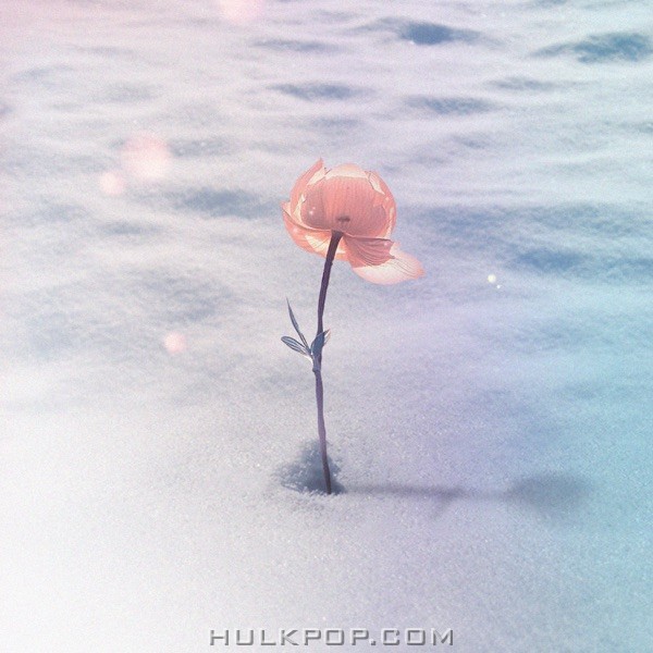 Kangmo – Moment – Single