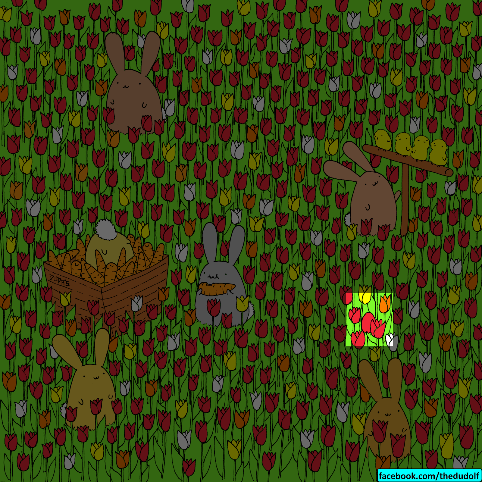 Dudolf com ответы картинки