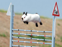 10 γνωστά-άγνωστα αθλήματα