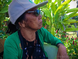 A Grandmother Enjoy A Holiday See The Beauty And Freshness Of The Garden In The Warm Sunshine At The Village