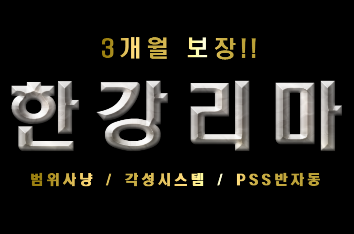 리니지 프리서버 한강서버