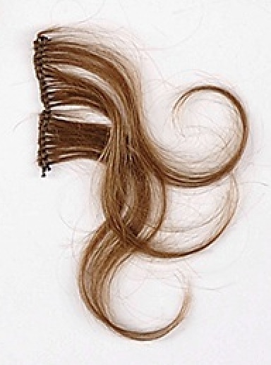 Locks of Custer's Hair ~