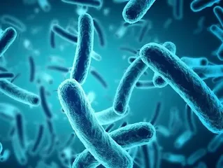 जीवाणु क्या होता है - what is bacteria Hindi
