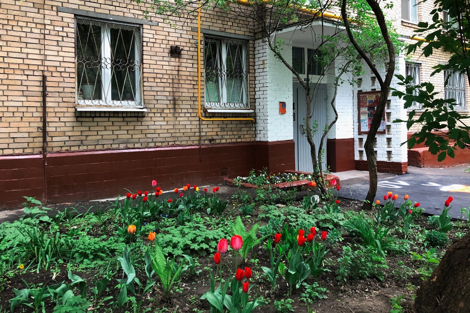 2019: Останкино