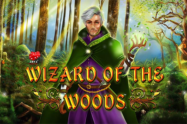 Demo Slot 2by2 Gaming Wizard of the Woods