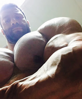 Male Bodybuilders Perfect Big Bodies
