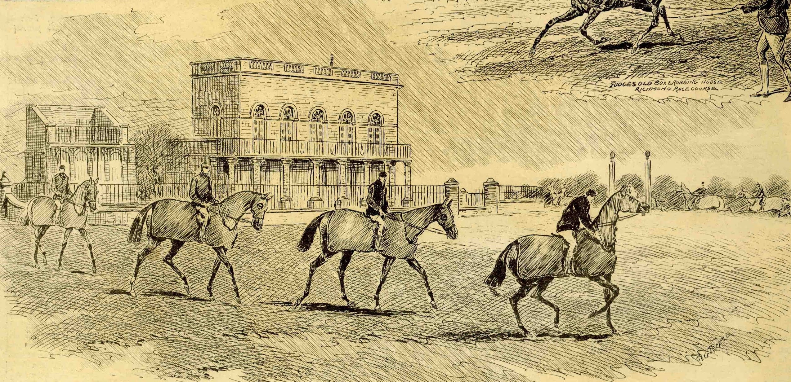 Catherine Aldred Illustrator Richmond grandstand commission and