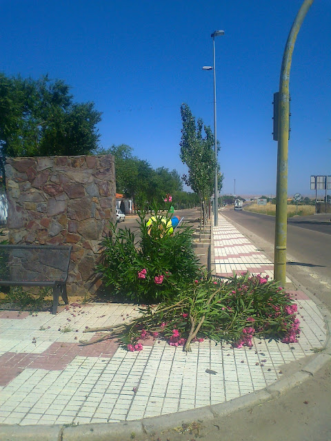 FLORESTREMADURA: bio de un jardinero