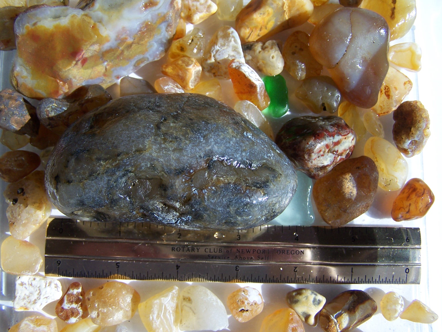 Agates of the Oregon Coast Agate found just yesterday!