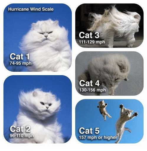 Hurricane Wind Scale