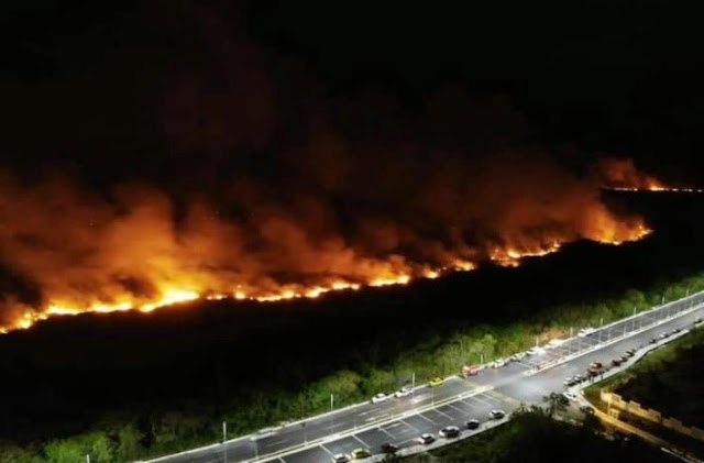 Incendio termina con más de 200 hectáreas de manglares en Campeche