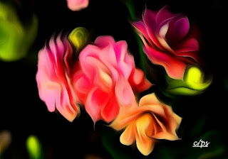 Blumen, flores, Flower, fleurs, květiny, Flores, blomme, blommor Blumen, flores, Flower, fleurs, květiny, Flores, blomme, blommor, çiçekler, kwiaty, Flor, Hoa, nở hoa, floración, bloom, Kukka, kukinta, La floraison, Fiore