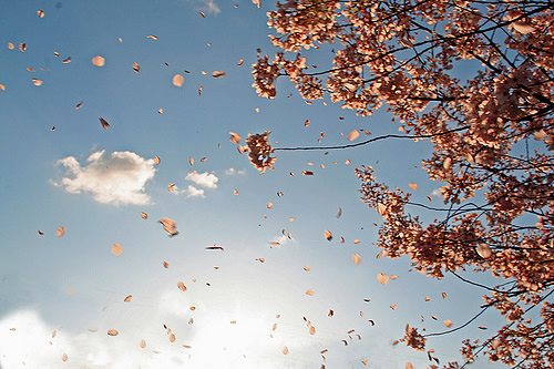 PRETENS�ES (Premiado)