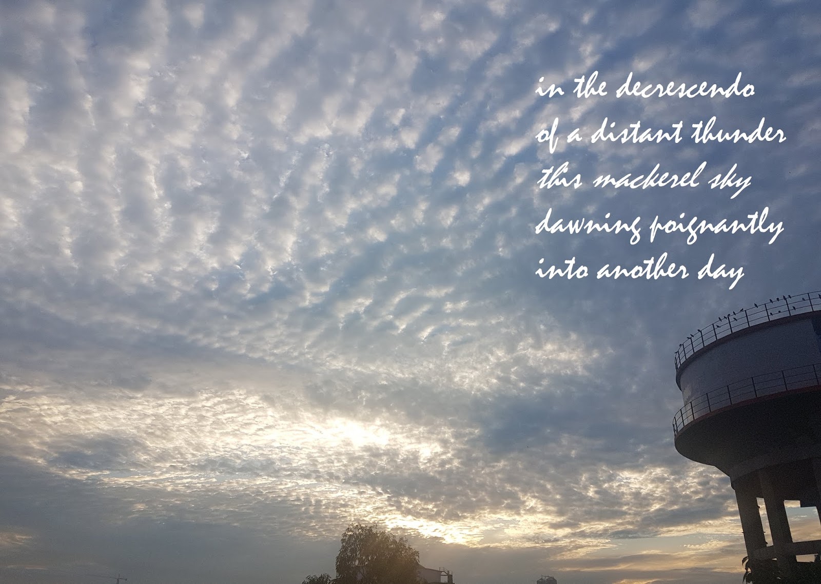 Abstract Deductions mackerel sky