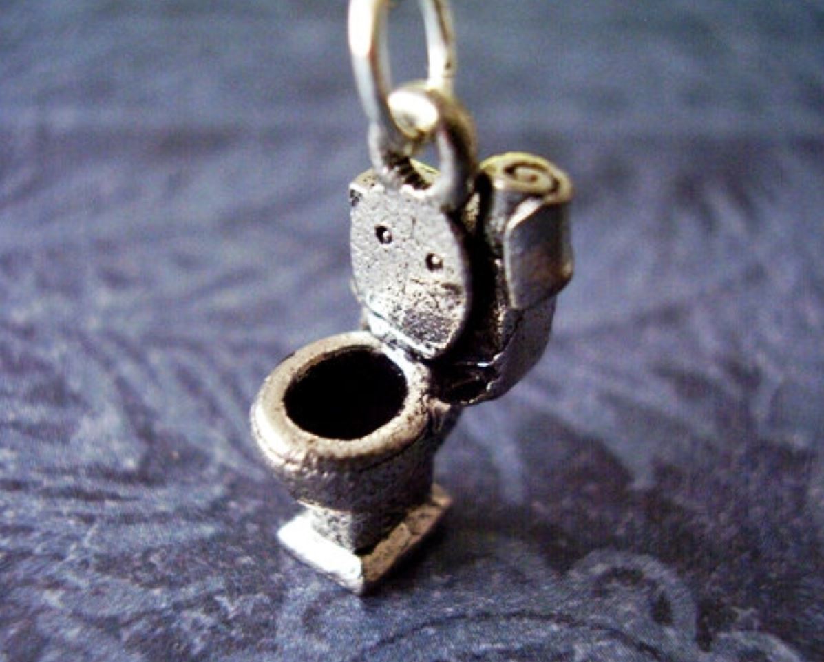 Thisoldtoilet Replacement Toilet Lids and Seats The Latest in Toilet Jewelry This Old