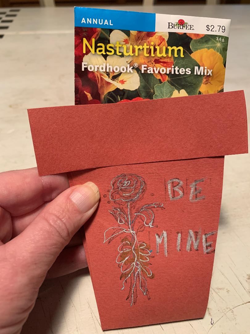 WashingtonGardener DIY Valentine's Day Seed Card