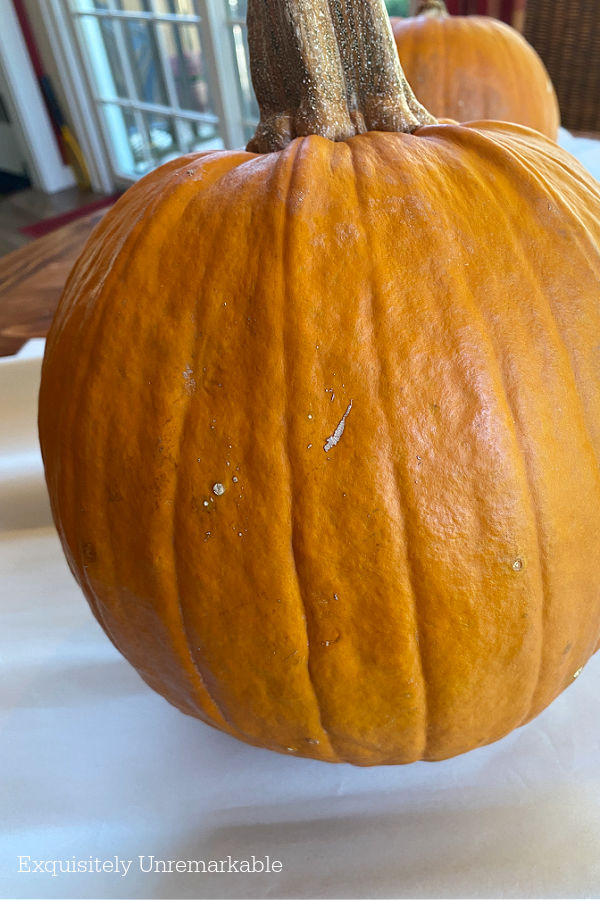 Large Pumpkin on a table