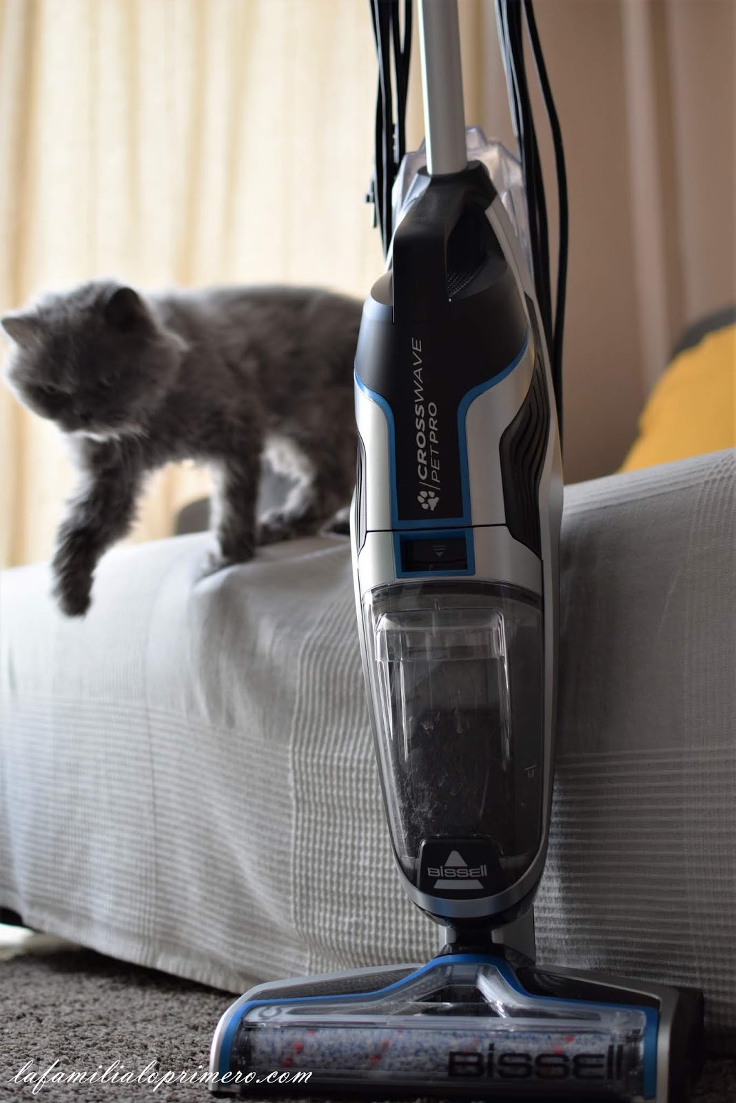 Bissell Crosswave Pet Pro: aspirar, fregar y secar. Ideal para familias