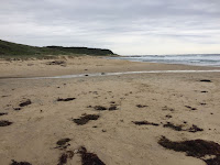 Cave Beach (Lake Macquarie, NSW, Australia)